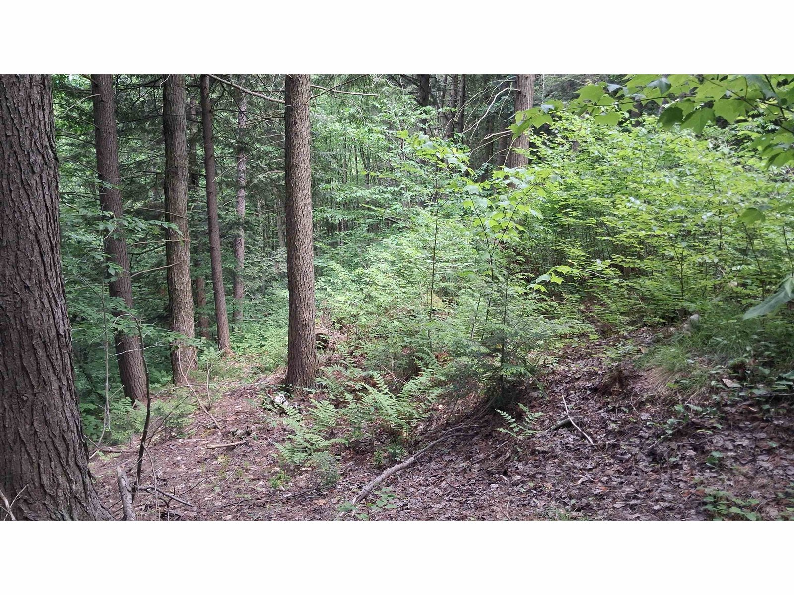 on right side of trail on 37 acres