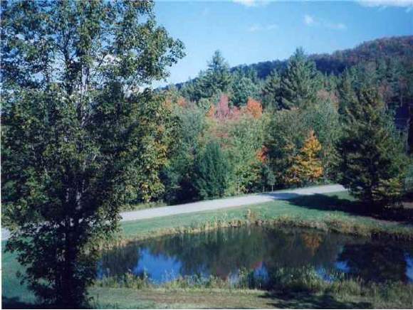 LOT 15 BLACK BEAR RUN