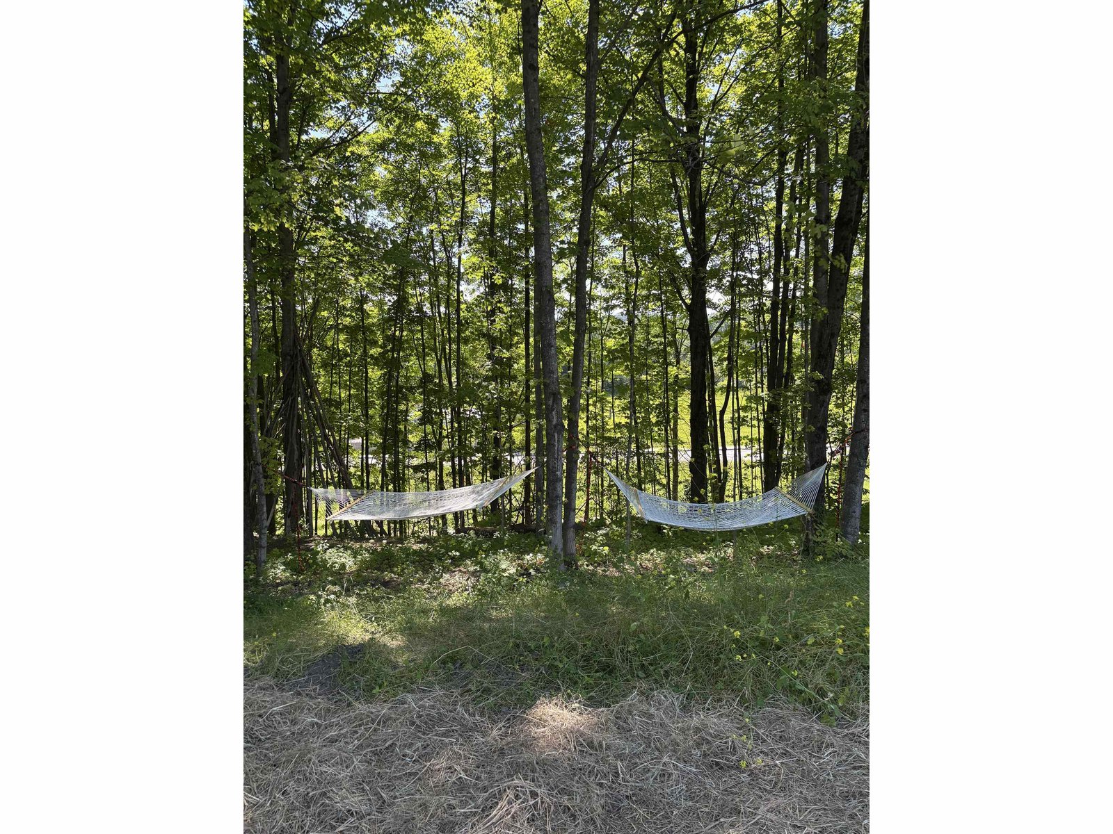 Flying Tractor's natural community playground