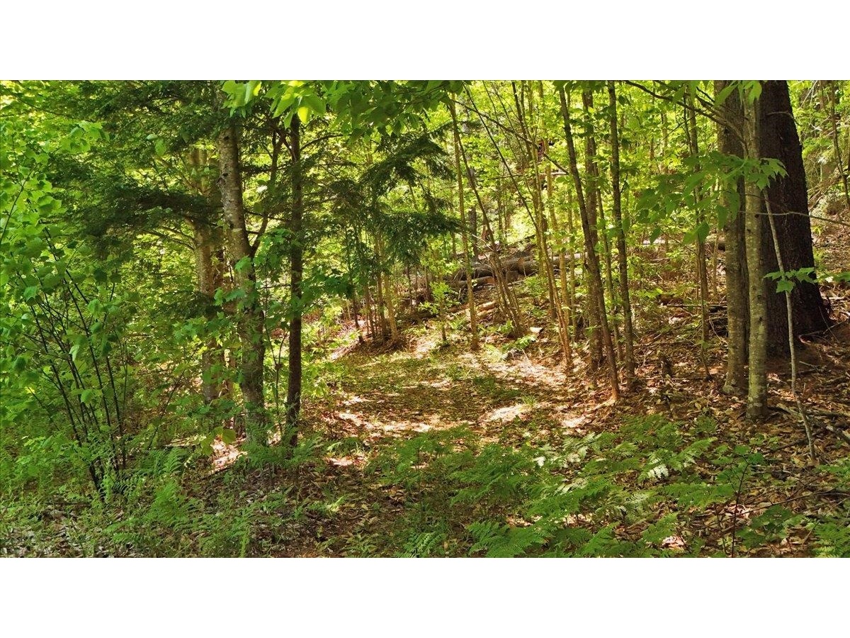 Trail to home site