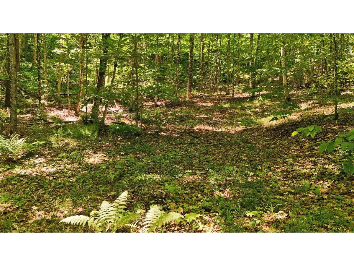 Lot 16 Barnett Road