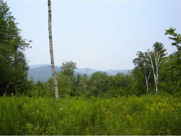 Lot 16B West Pinnacle Ridge Rd