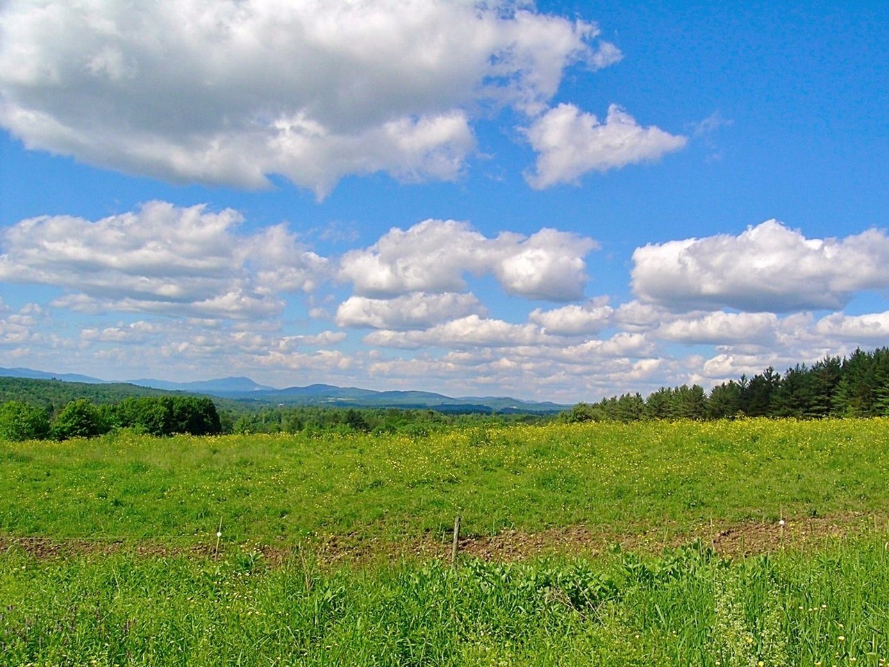 Lot #19 Campbell Road