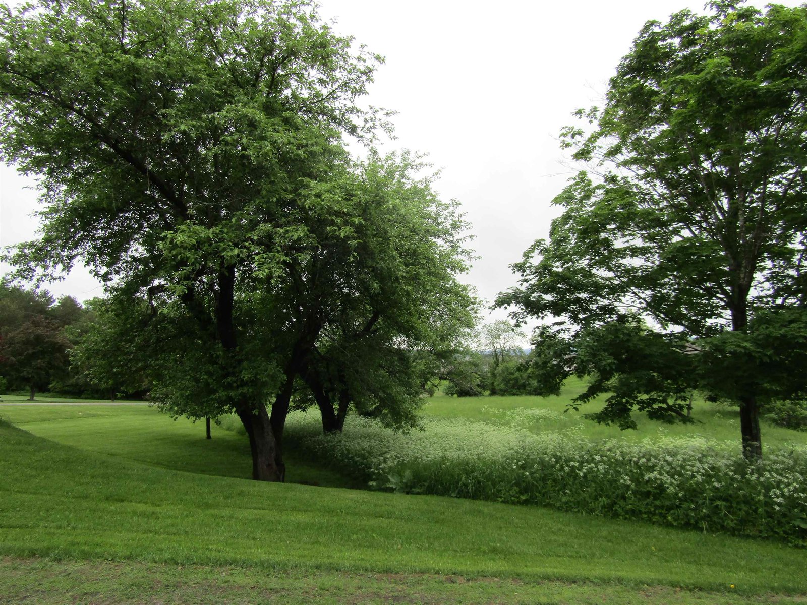 Lot 19 Smith Farm Road
