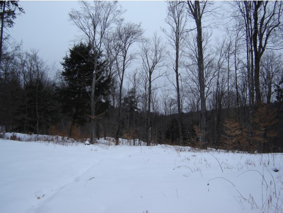Lot 1B South Bear Swamp Rd