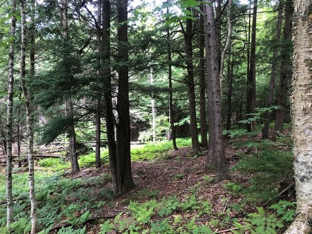 Lot 2 Bear Creek Lane