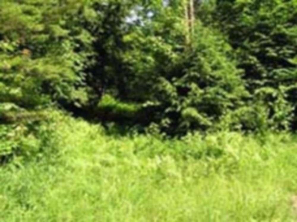 Lot 2 Brookview Lane