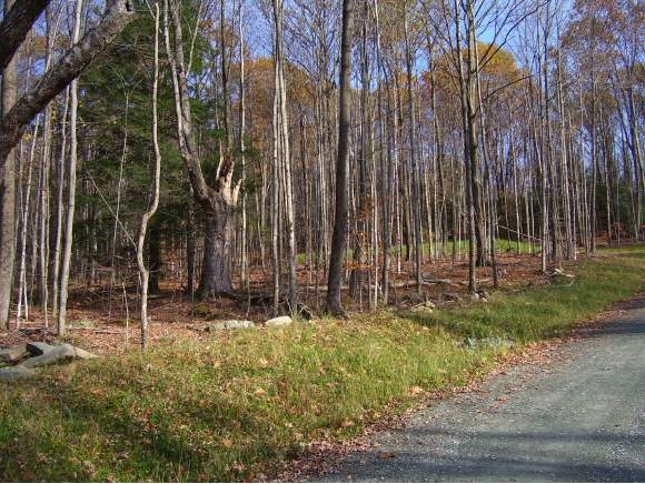 Lot 2 Butternut Lane, Lot #2