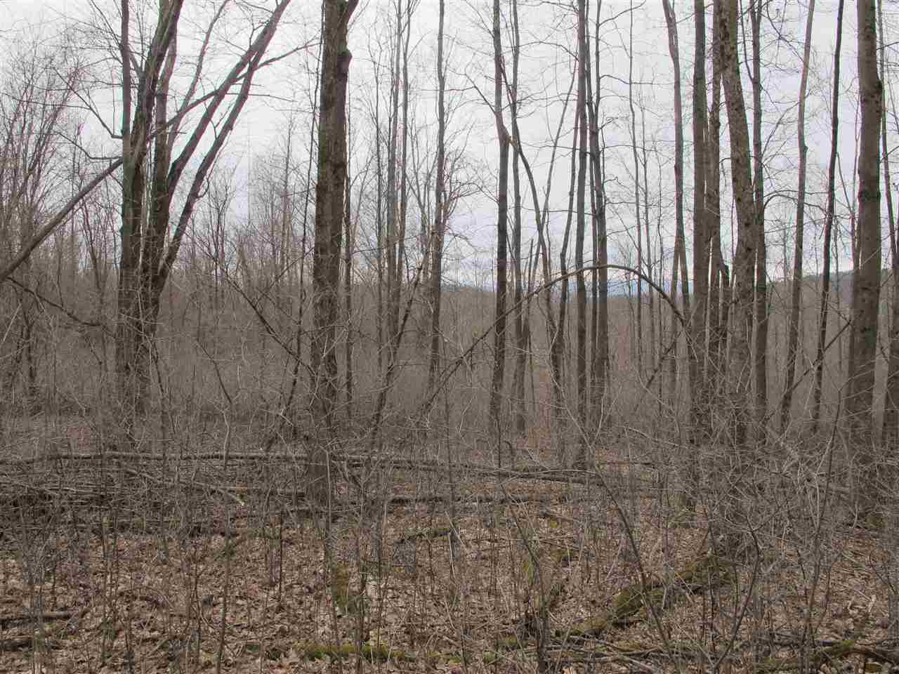 Lot #2 Butternut Road