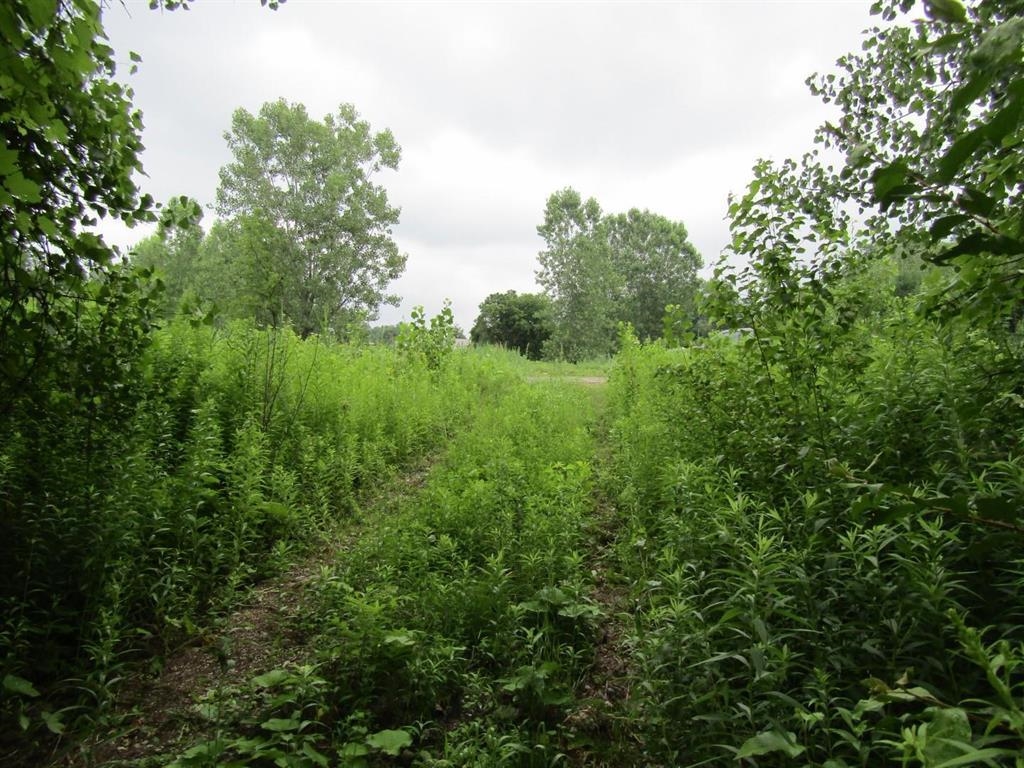 Lot 2 Champlain Commons