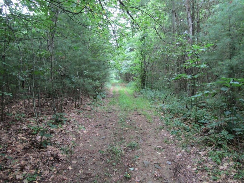 Lot 2 Champlain Commons