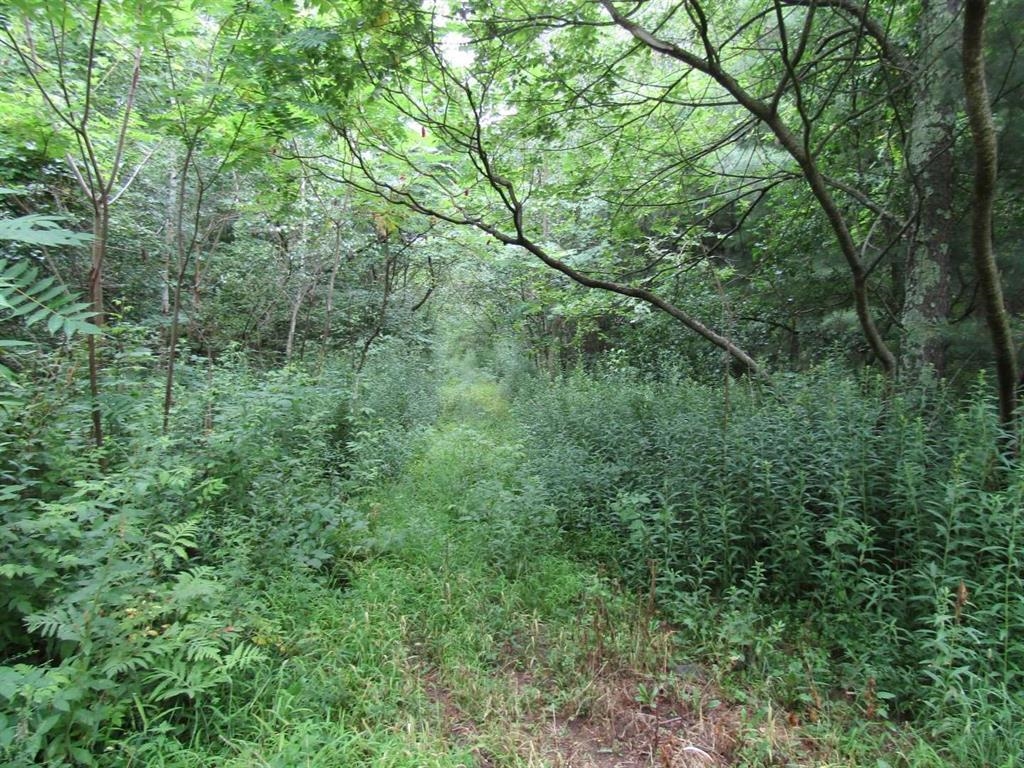 Lot 2 Champlain Commons