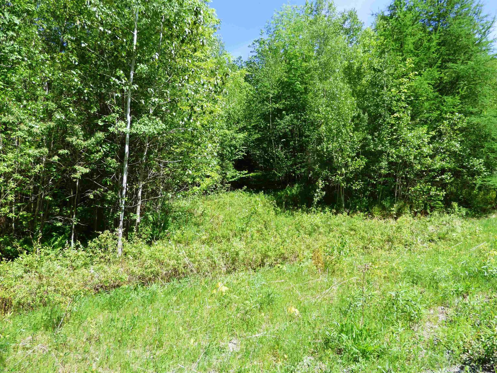 Lot 2 Dairninaka Drive