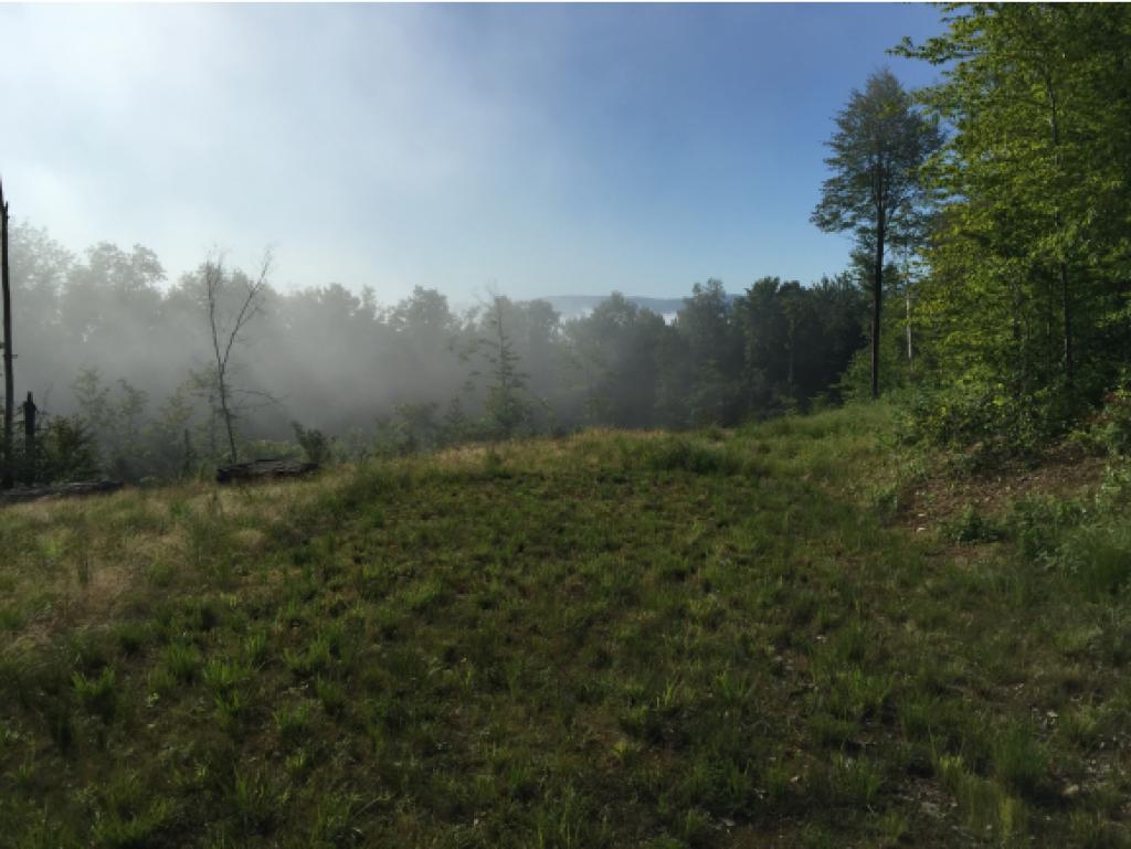 Lot 2 Deerfield Hill