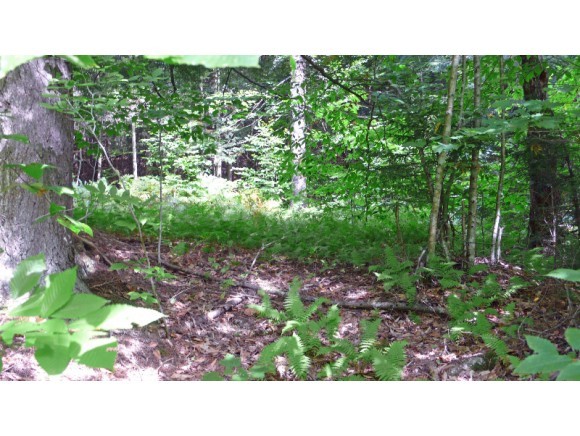 Lot #2 Dowsville