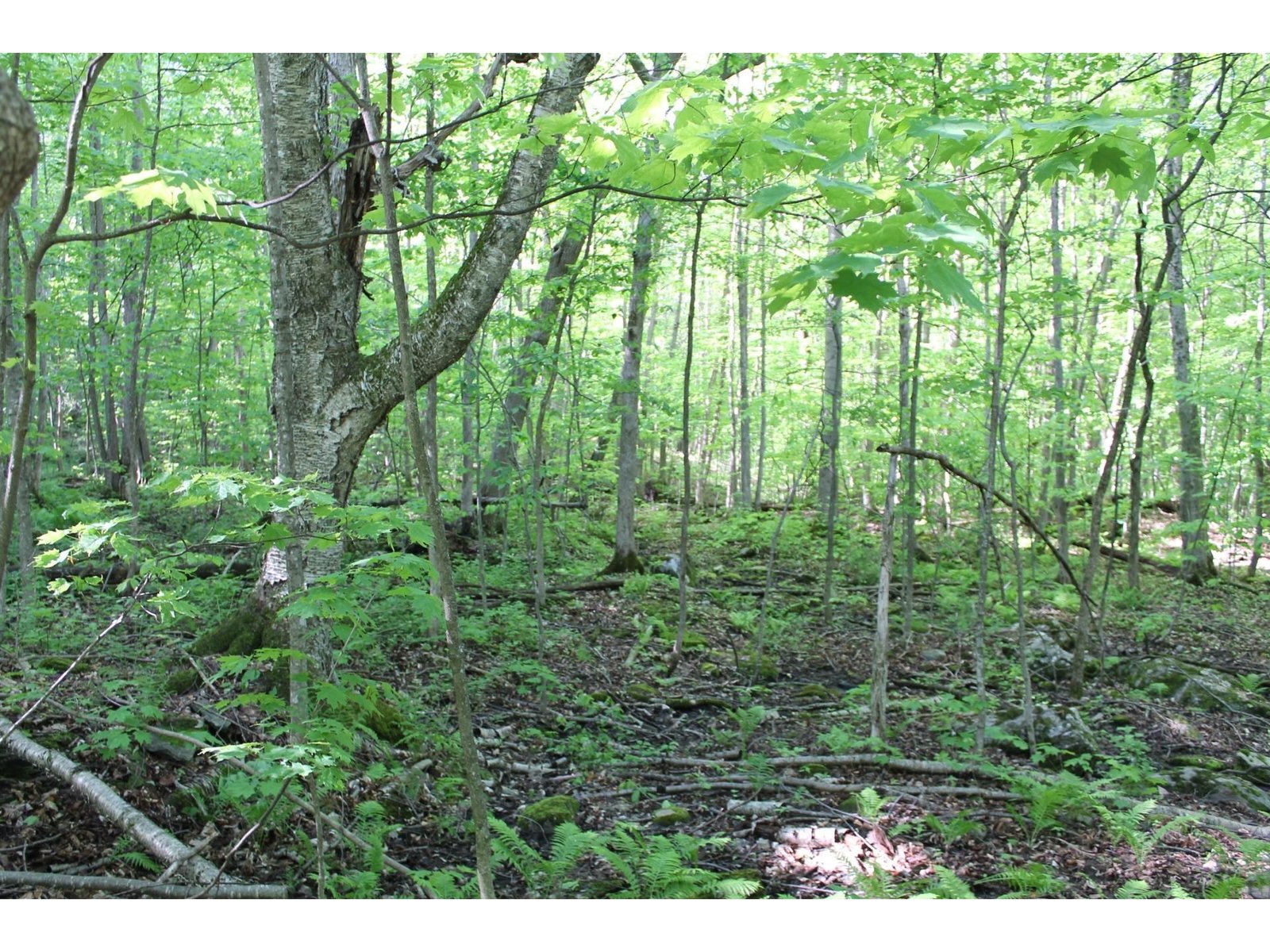Lot 2 Enos Road