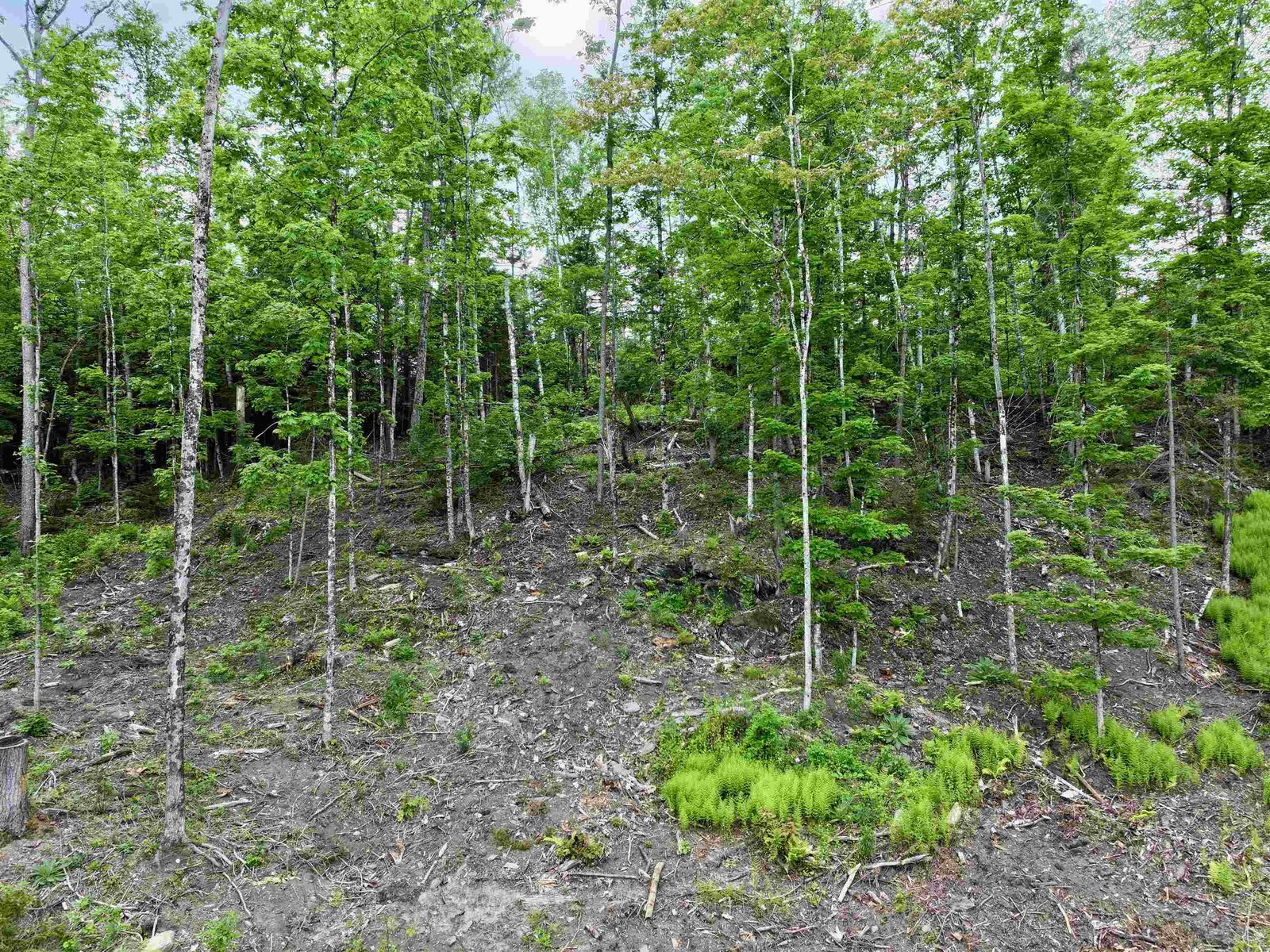 Lot 2 Lightening Ridge Road