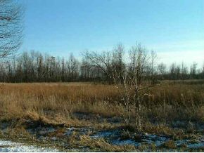 Lot 2 Main Street/Noble Hill Rd