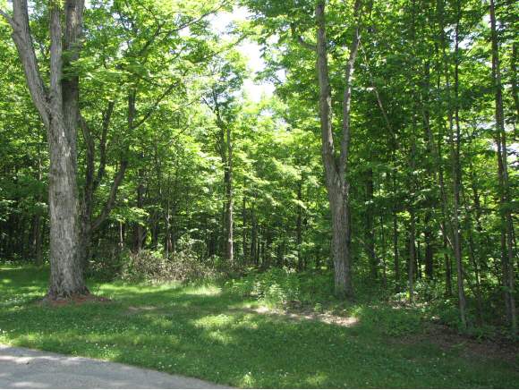 Lot #2 Maple Grove Estates