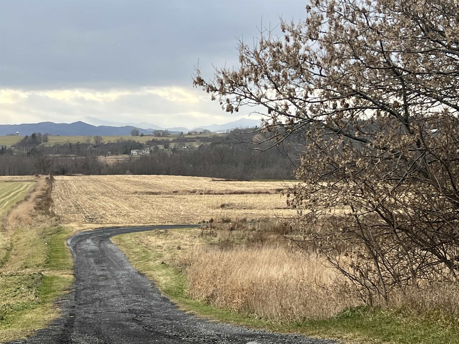Lot 2 Maple Street
