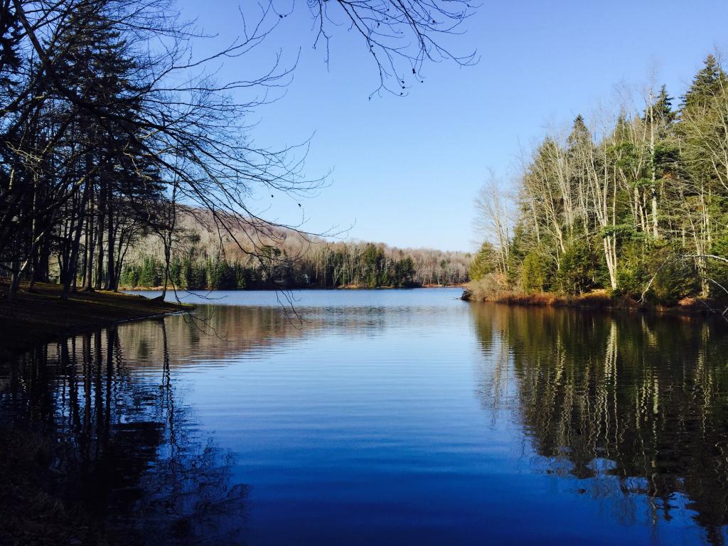 LOT 2 Marjorie Drive