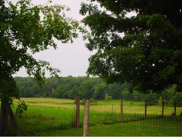 Lot #2 Messier Rd