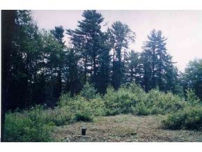 LOT #2 Mt Pritchard Lane