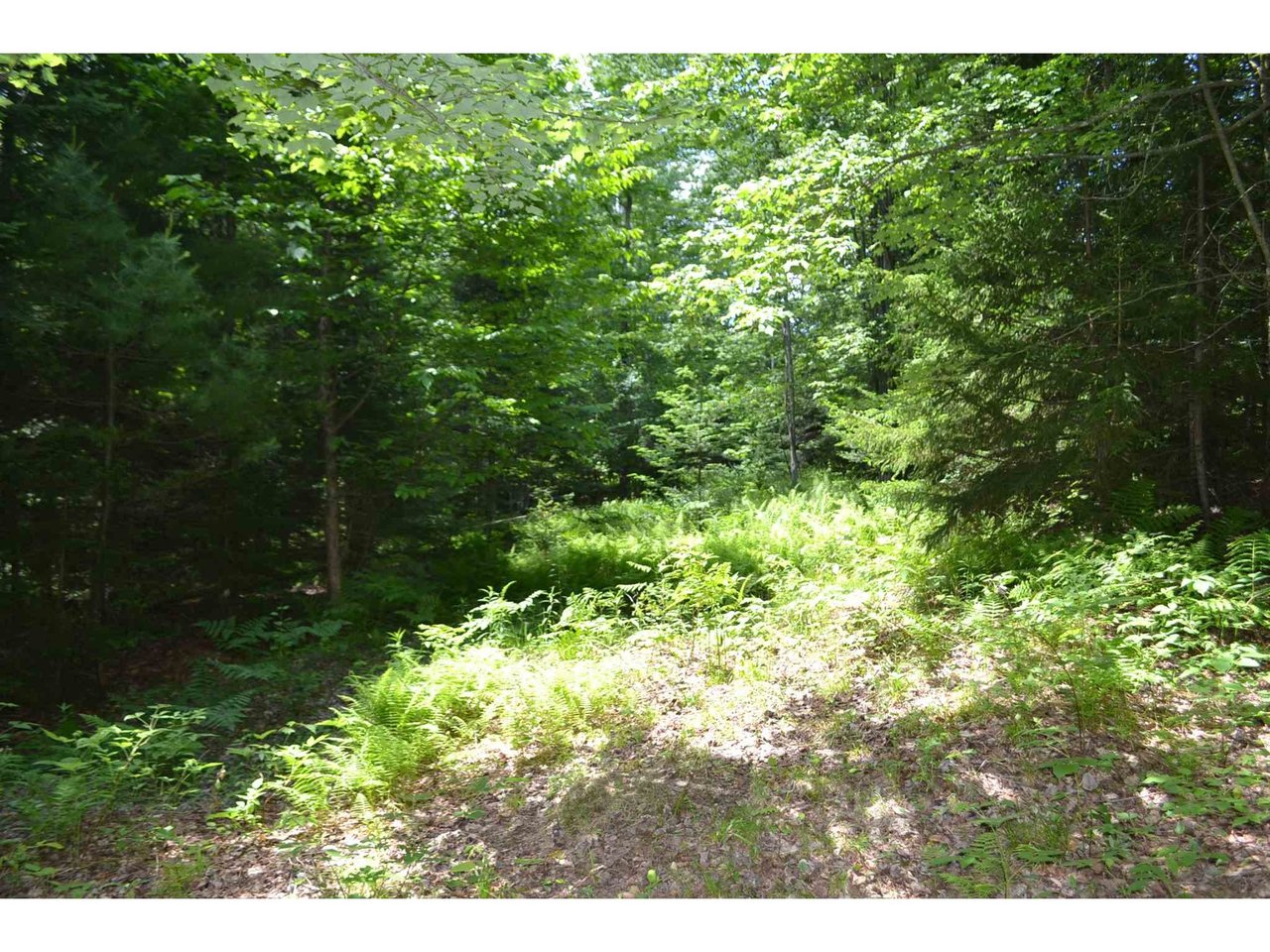 Lot 2 North Street