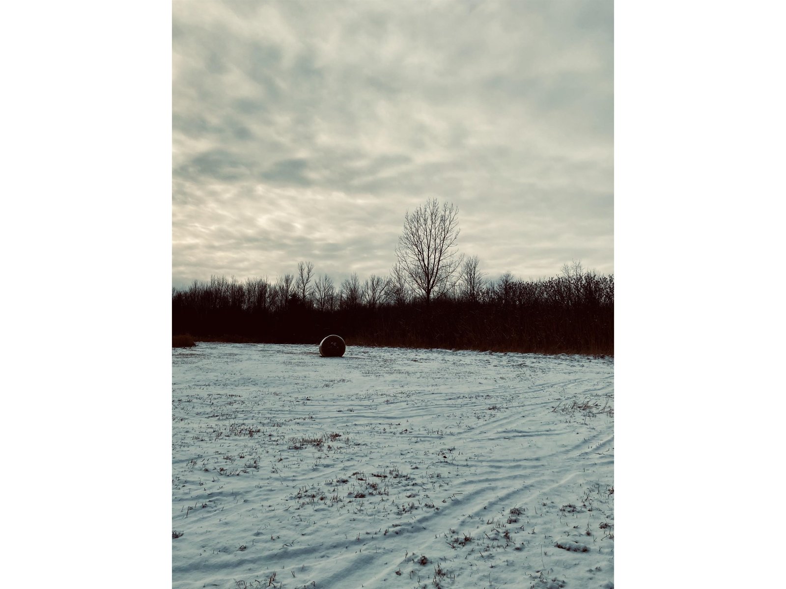 Lot 2 off Viens Road