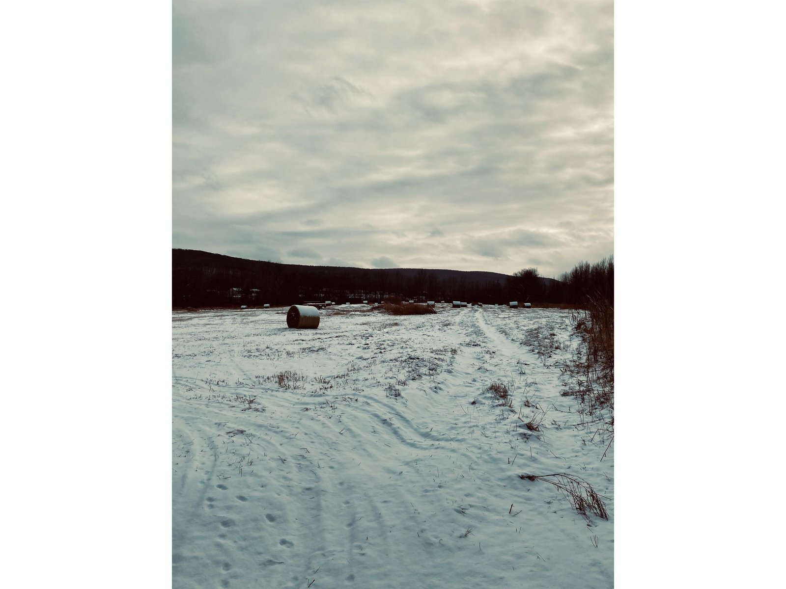 Lot 2 off Viens Road