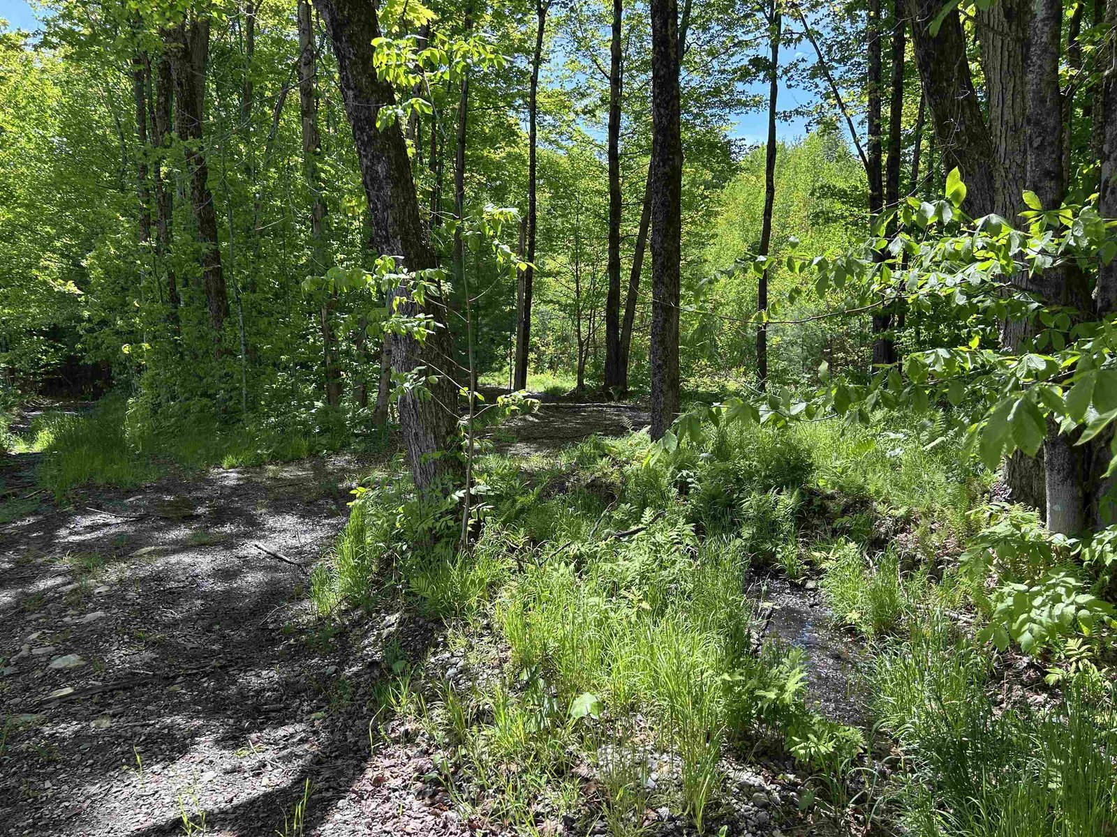 Lot 2 Pion Road