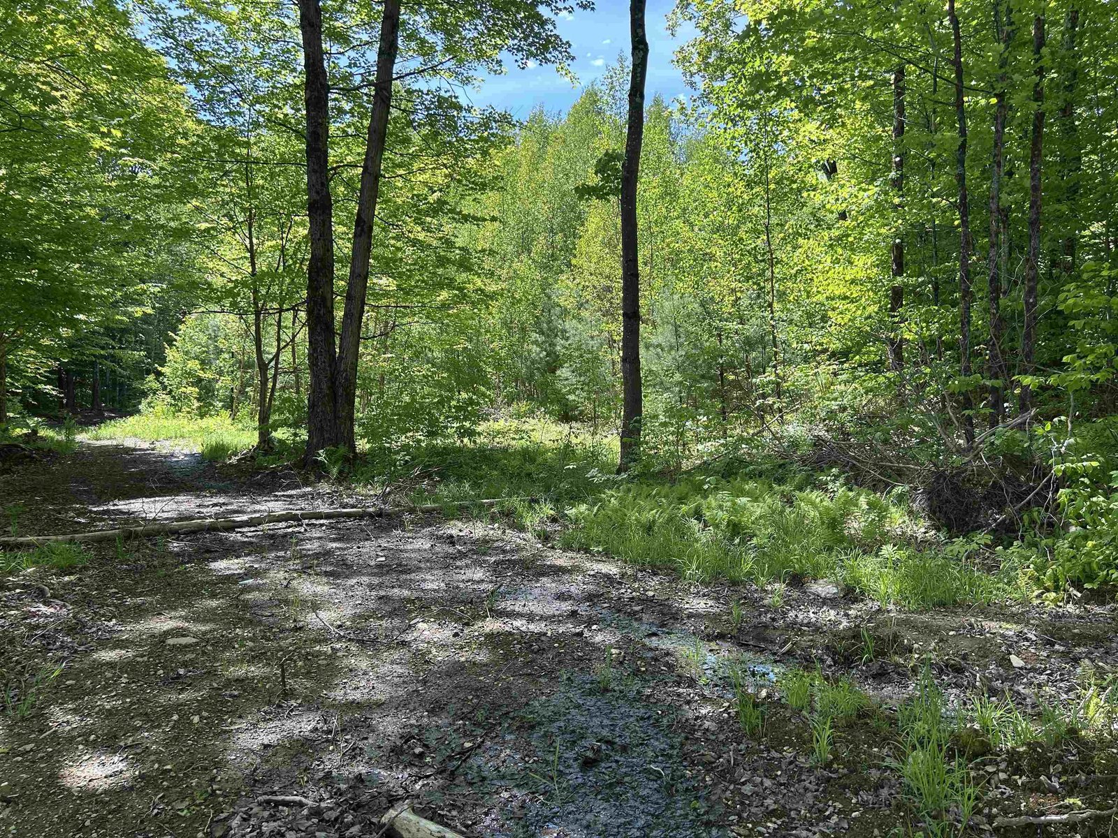 Lot 2 Pion Road
