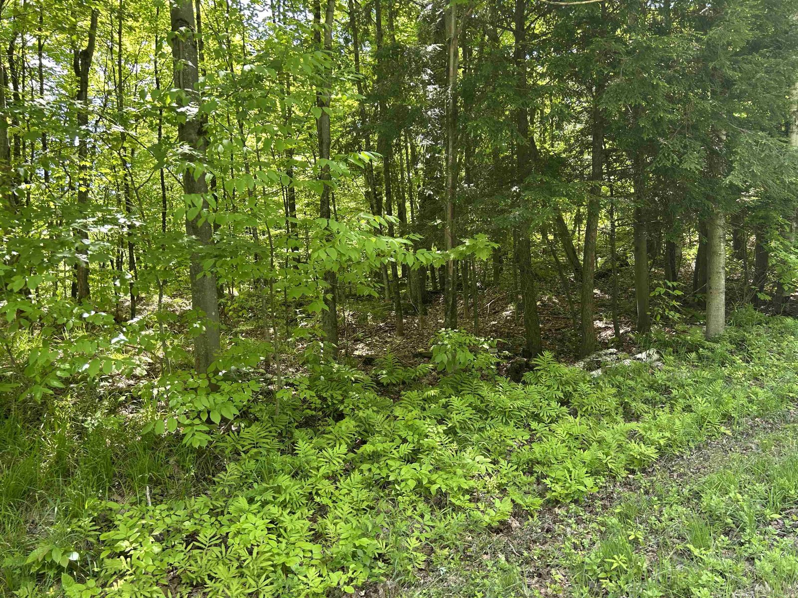 Lot 2 Pion Road