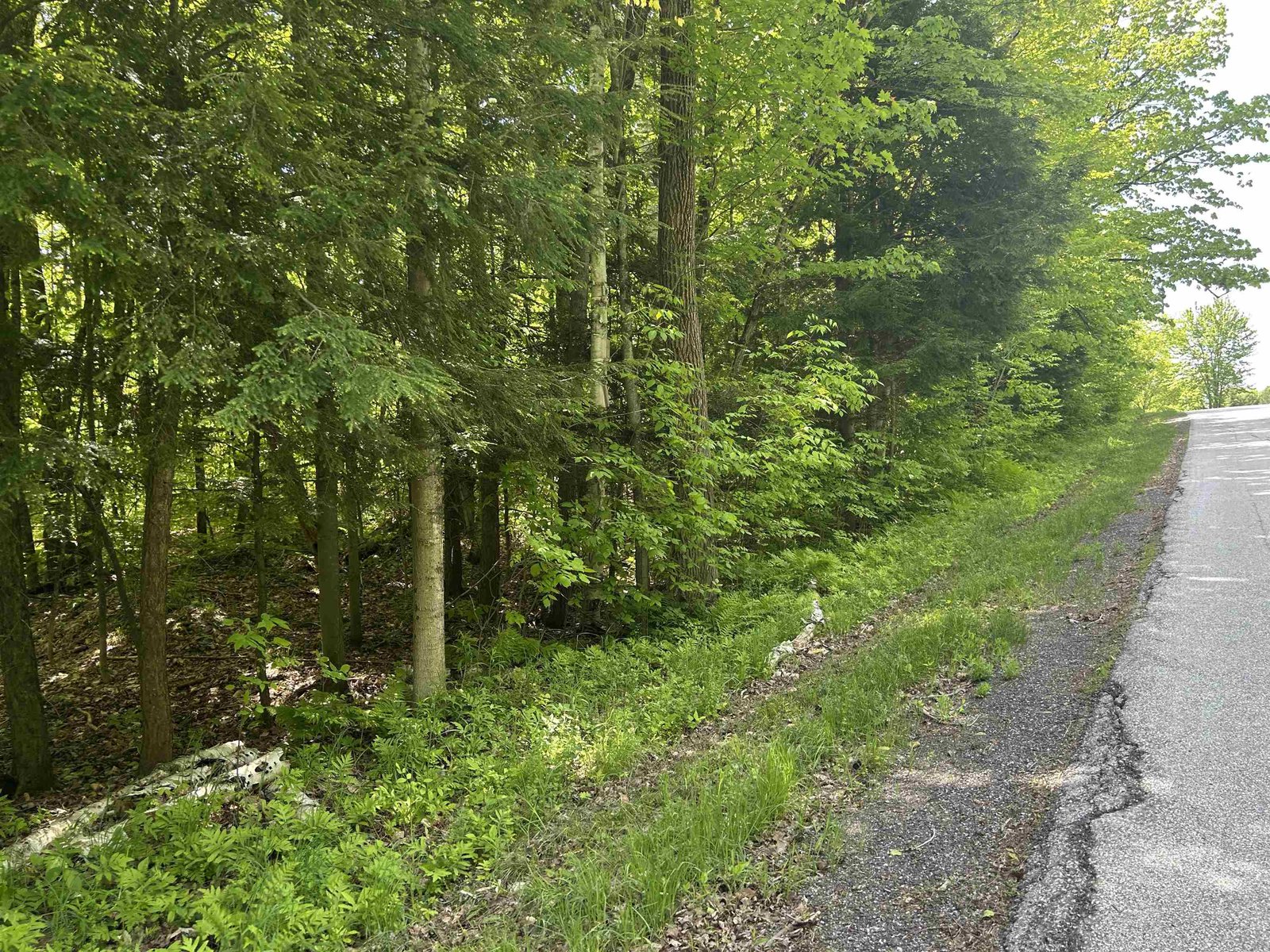 Lot 2 Pion Road