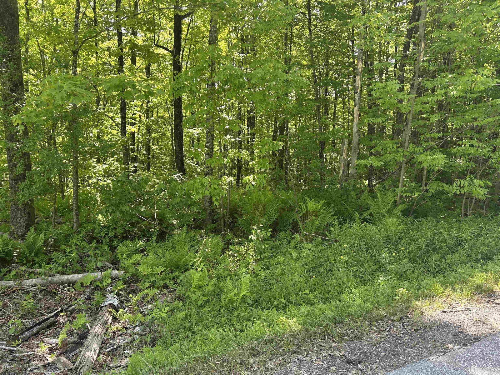 Lot 2 Pion Road