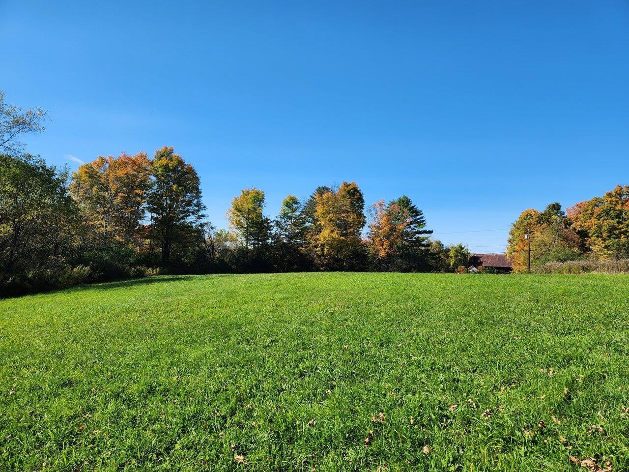 Fields of green in summer