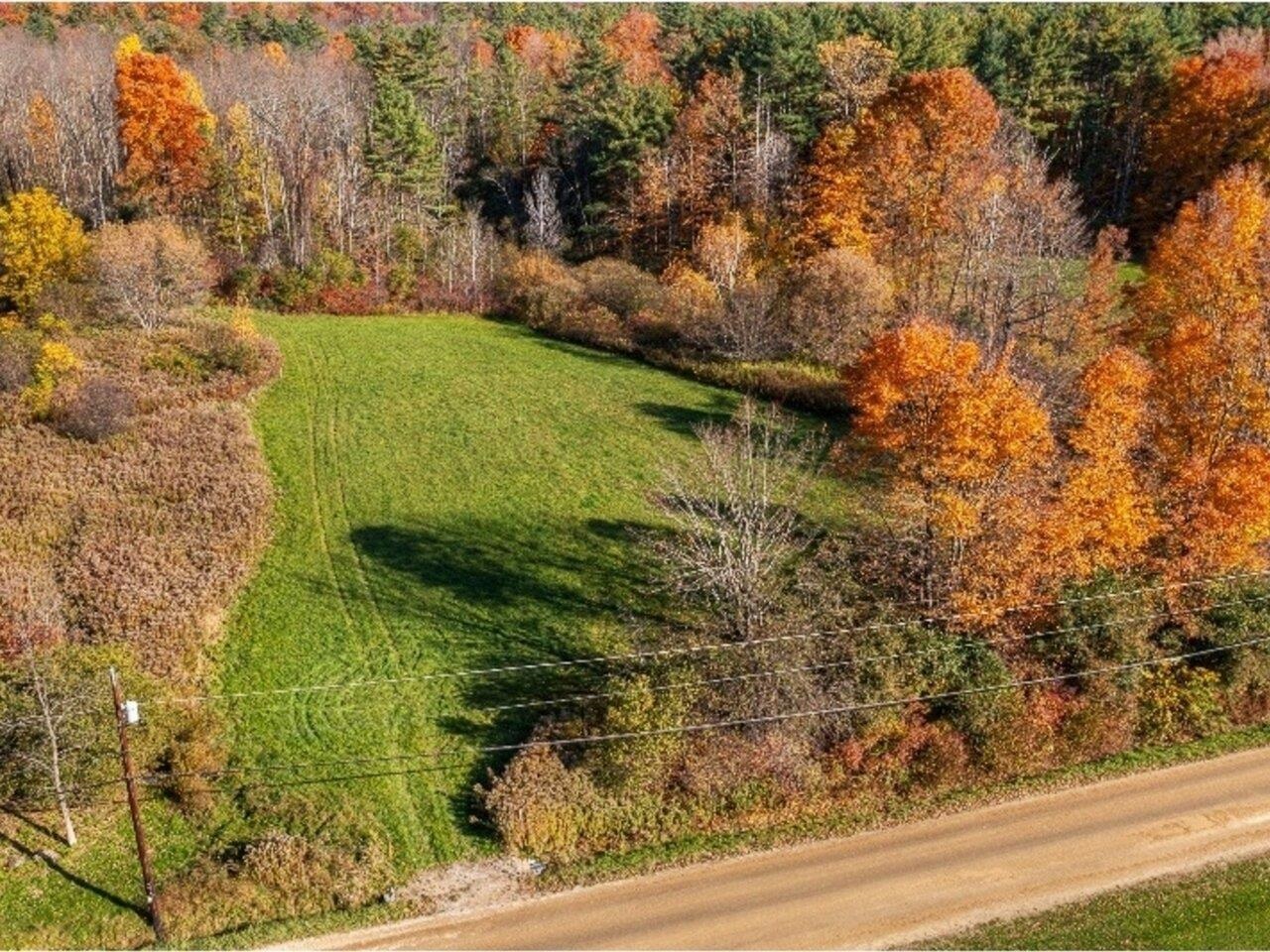 Private lot bordered by woods