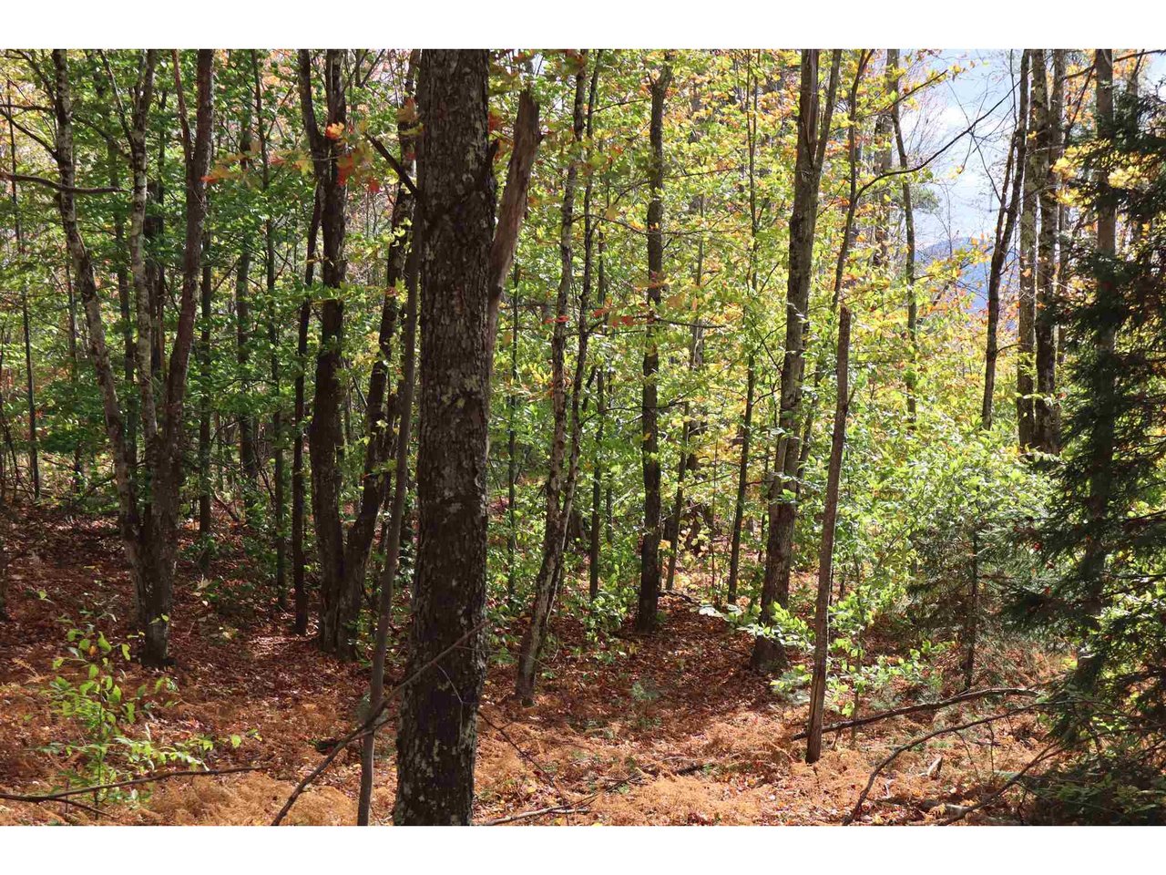 Lot 2 Shepherd's Way