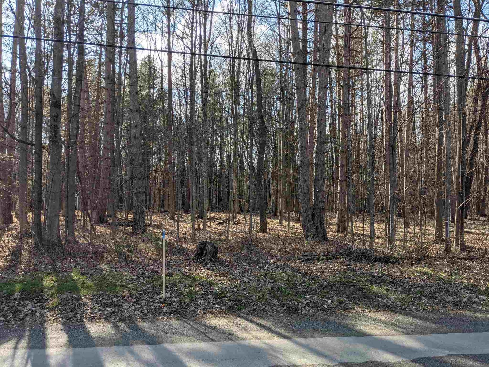 Lot 2 Spruce Street