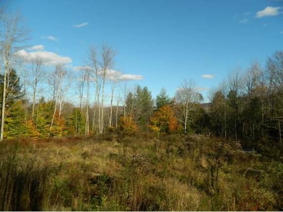Lot #2 Stony Farm Road