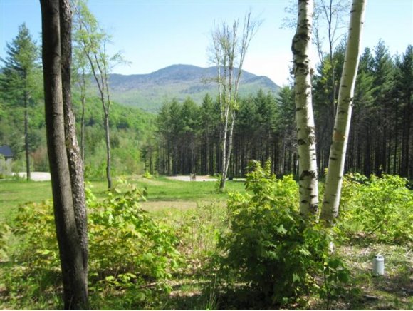 Lot 2 Taber Woods Dr