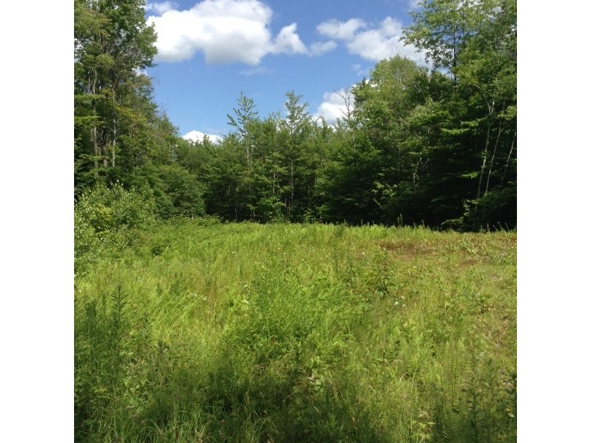 Lot 2 VT Route 242