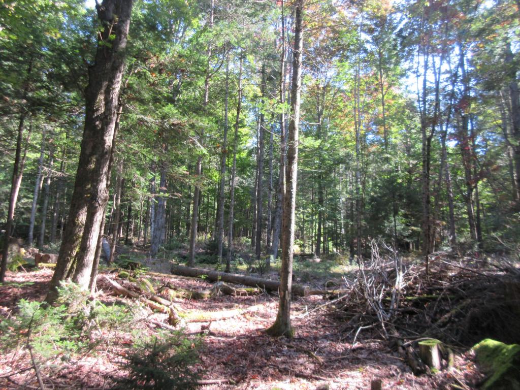 Lot 2 VT Rte 111