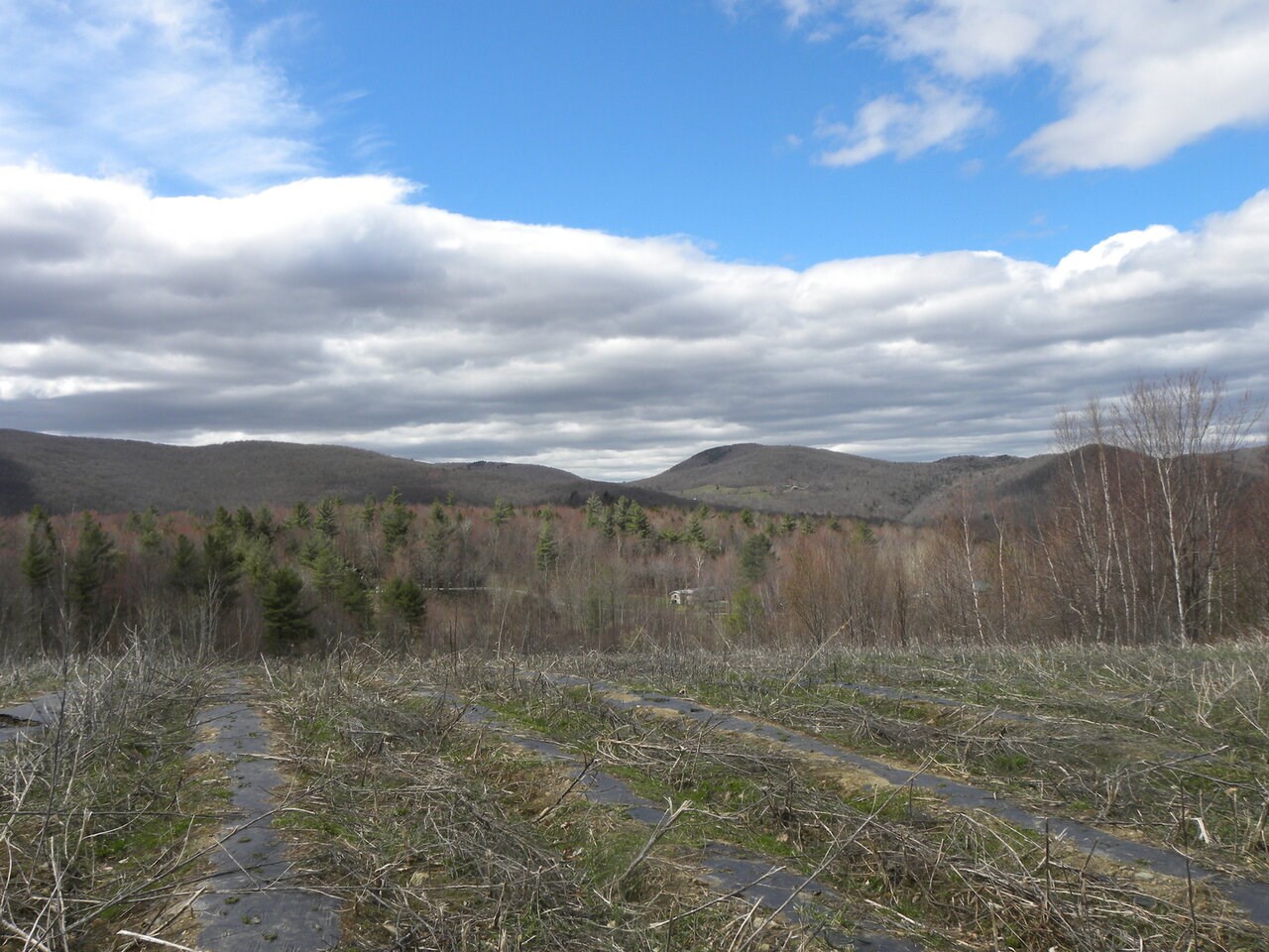 Lot 2 Weaver Road