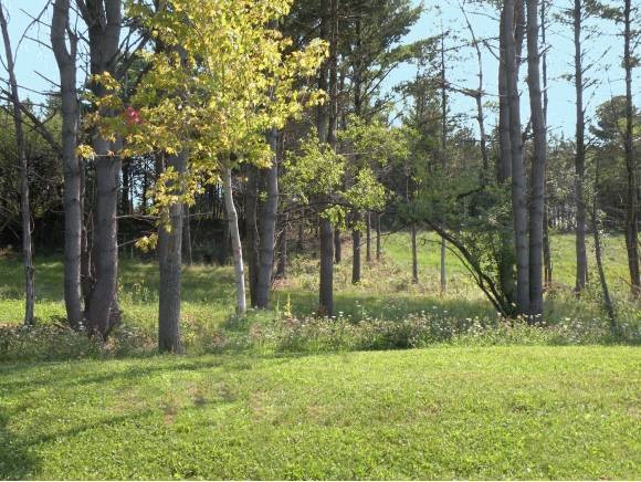 Lot #22 Sycamore Street