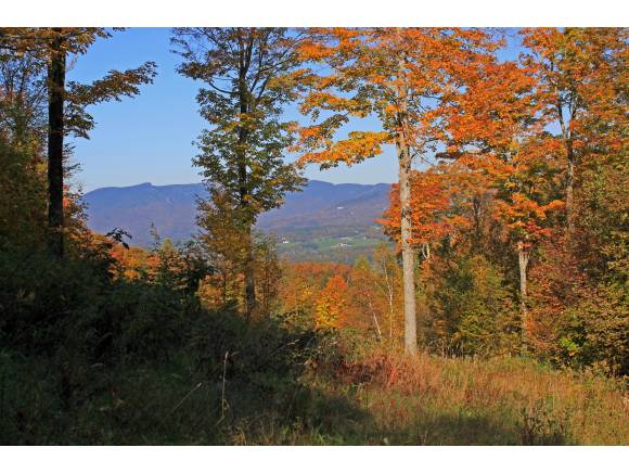 Lot 23 Saddle Lane