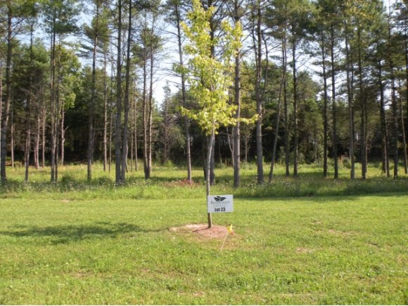 Lot #23 Sycamore ST