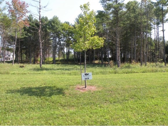 Lot #24 Sycamore Street