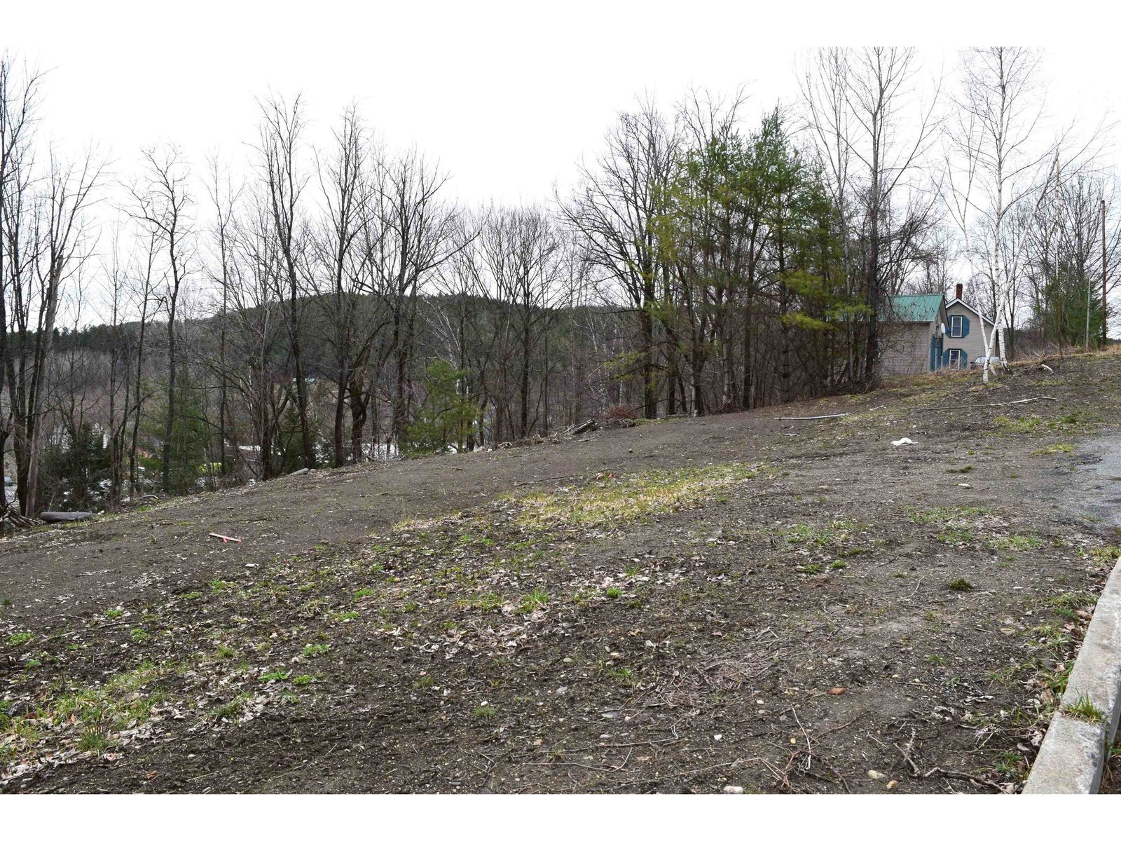 Both lots sale preferred for $36,000!