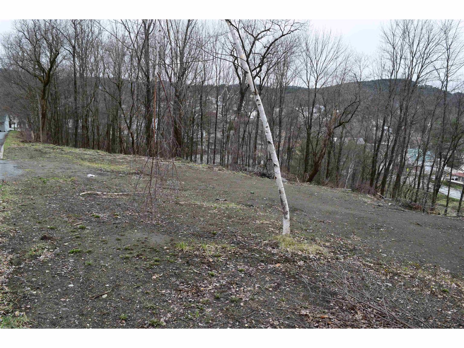 Nearly level lot